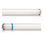 Lampa actinica UV-A BL TL-D 18W/10 Secura pentru capcane insecte cu folie securizata, Philips