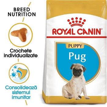 Royal Canin Pug Puppy hrană uscată câine junior, 1.5kg, Royal Canin