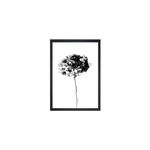 Poster 24x29 cm Velvet Flower - Tablo Center