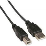 Cablu USB Pentru Imprimanta USB 2.0 La USB 2.0 Type-B 3m Negru, Spacer