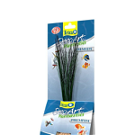 TETRA DecoArt Plantastics Premium Hairgrass 24 cm, TETRA