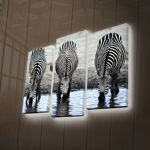 Tablou Canvas cu Led Zebra, Multicolor, 66 x 45 cm, Ledda