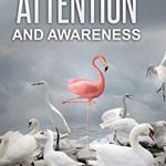 The Miracles of Attention and Awareness