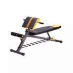 Banca fitness multifunctionala LSR8311