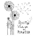 Sticker bloom where you are planted, decorativ, negru, 117 x 97, Priti Global