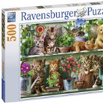 Puzzle pisici pe raft 500 piese Ravensburger, Ravensburger