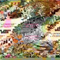 Nuielusa De Aur, Povestea Pupezei, 