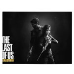 Tablou afis The Last of Us - Material produs:: Tablou canvas pe panza CU RAMA, Dimensiunea:: 60x80 cm, 
