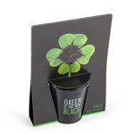 Kit pentru plantat cu seminte de trifoi cu 4 foi - Green is the New Black