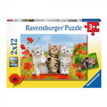 Ravensburger - Puzzle Aventura pisicutelor, 2x12 piese