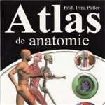 Atlas de anatomie - Irina Paller, Eduard