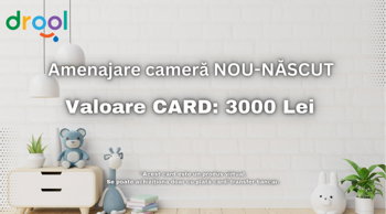 Card cadou "Amenajare camera NOU-NASCUT" Drool, drool