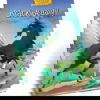 Carte de colorat cu poveste A4 engros pentru copii. Black Beauty, 