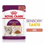 Hrana umeda pentru pisici,Royal Canin, Sensory Taste, 12 x 85g