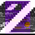 New Nordic Blue Berry Plus, 120 comprimate, New Nordic