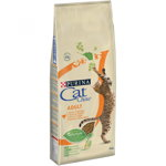 Purina Cat Chow Adult Pui Si Curcan 15 Kg, Purina Cat Chow