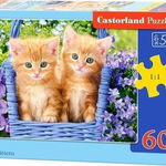 Puzzle 60 piese Ginger Kittens Castorland 66247