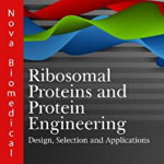 Ribosomal Proteins and Protein Engineering