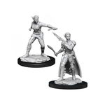 Miniaturi Nepictate D&D Nolzur's Marvelous Shifter Rogue Female (W13), D&D