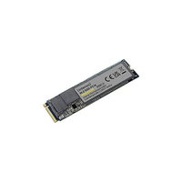 SSD 250GB M.2 PCIe, Intenso