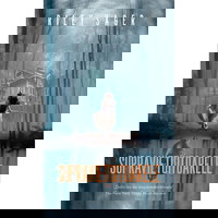 My Little Pony. Poneii uniti. Poveste cu majuscule (Nivelul 2), Litera