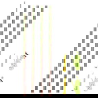 vidaXL Stâlpi pentru parasolar, 2 buc., 200 cm, oțel zincat