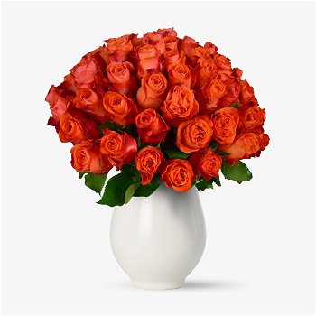 Buchet de 55 trandafiri portocalii - Standard, Floria