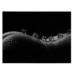Tablou nud femeie solduri fese cuburi de gheata alb negru 1145 - Material produs:: Poster pe hartie FARA RAMA, Dimensiunea:: 70x100 cm, 