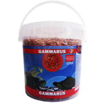 Hrana Pentru Pesti, Exo, Gammarus, 1000 ml