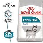 Royal Canin Maxi Joint Care Adult hrana uscata caine, ingrijirea articulatiilor, 10 kg, Royal Canin