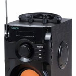 Boxa Portabila Spacer SPB-T10, 11W, Bluetooth, Telecomanda, Radio FM (Negru)