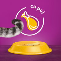 Hrana uscata pentru pisici Whiskas Sterile, pui, 800 g