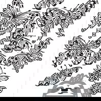 Motanul incaltat si alte povesti