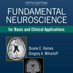 Fundamental Neuroscience for Basic and Clinical Applications de Duane E. Haines