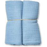T-TOMI Muslin Diapers Blue