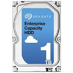 Seagate 3.5 Inch 1 TB Exos E-Class Enterprise SATA Internal Hard Disk Drive - Silver