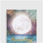 Hay House UK Ltd carte Moonology (TM) Diary 2023, Yasmin Boland, Hay House UK Ltd