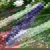 Bagheta Lepidolit din Madagascar m2, druzy.ro - Cristale, Home Deco