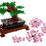 Bonsai