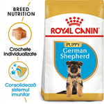 Royal Canin German Shepherd Puppy hrana uscata caine junior Ciobanesc German, 3 kg, Royal Canin