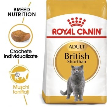 Royal Canin British Shorthair Adult hrană uscată pisică, 2kg, Royal Canin