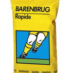 Seminte gazon Rapide, 5 kg, Barenbrug, Barenbrug 