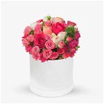 Cutie cu trandafiri roz si somon - Premium, Floria