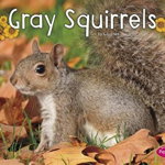 Gray Squirrels - G. G. Lake, G. G. Lake