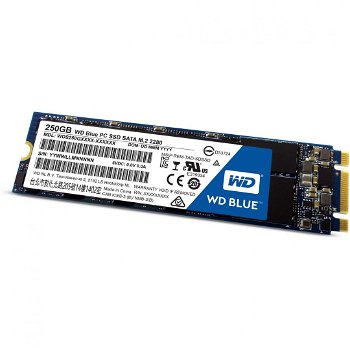 WD SSD 250GB BLUE M.2 2280 WDS250G1B0B