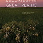 Legumes of the Great Plains: An Illustrated Guide