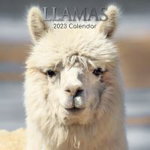 Llamas - Lamas 2023 - 16-Monatskalender (Browntrout Wandkalender)