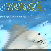 Noapte de iarna. 10 povesti magice cu animalute