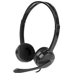 Casti office cu microfon NATEC CANARY, stereo, usoare, pernite textile confortabile, control volum pe fir, Negru