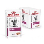 Royal Canin Renal Loaf Cat Pouch, hrana umeda pisici, 12x85 g, Royal Canin